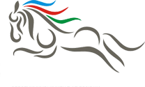 Şah Kargo
