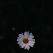 user image placeholder