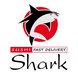 Shark Sushi