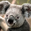 user image placeholder
