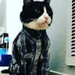 user image placeholder
