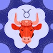 user image placeholder