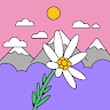 user image placeholder
