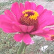user image placeholder