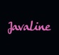 Javaline Studio