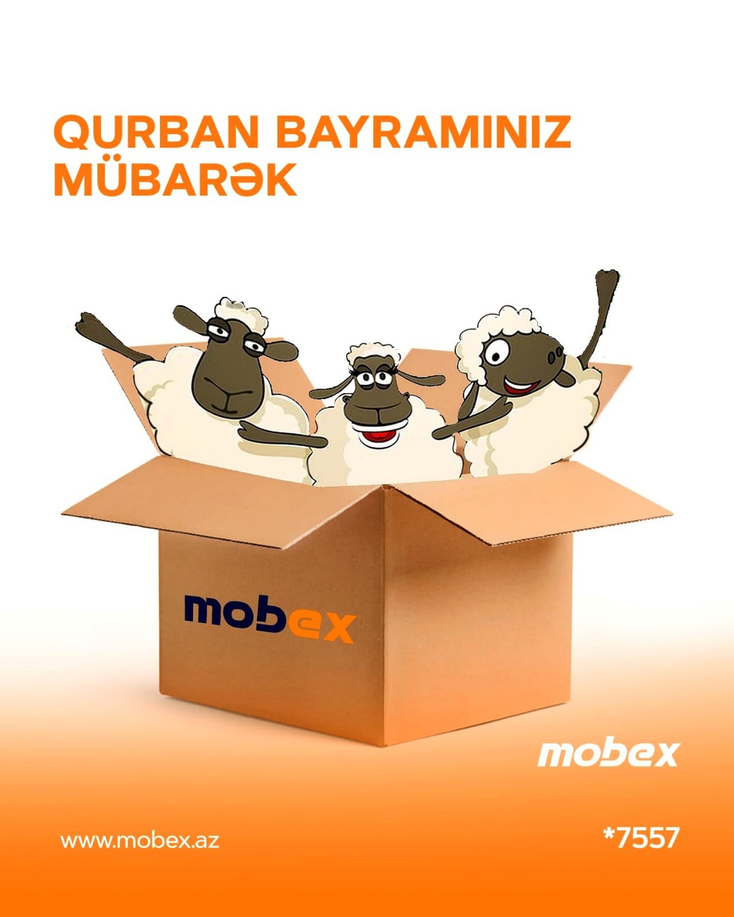 Mobex